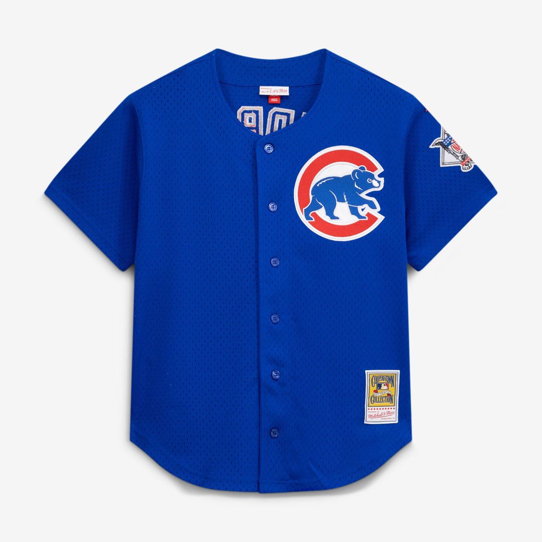 Ryne Sandberg Chicago Cubs Mitchell & Ness Cooperstown Collection 1997 Mesh Batting Practice Button - Up Jersey - Royal